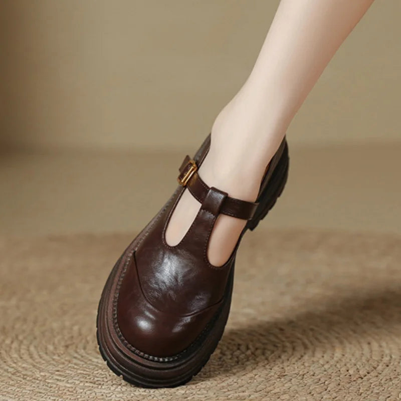 Calveth | Women's Mary Jane T-Bar Platform Shoes - Dark Brown - Image 1