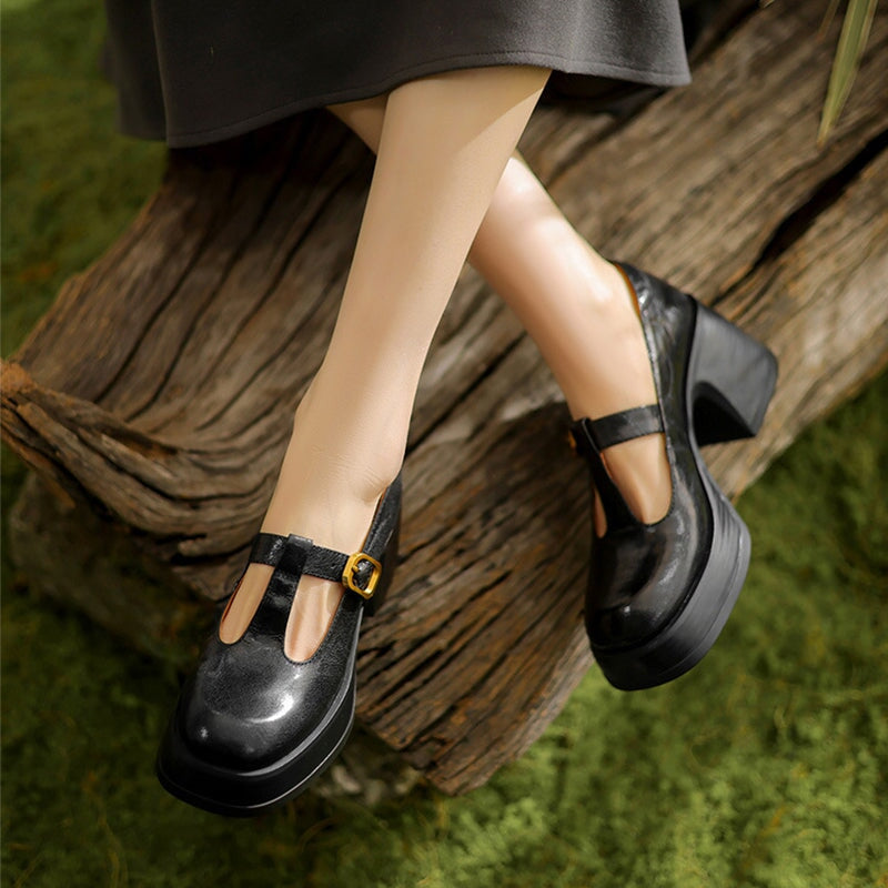 Delvara | Women's Mary Jane Block Heel T-Strap Shoes - Image 1